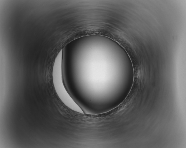 X0000092280868200709140921