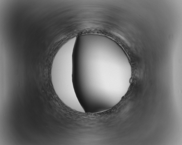 X0000092280869200709140920