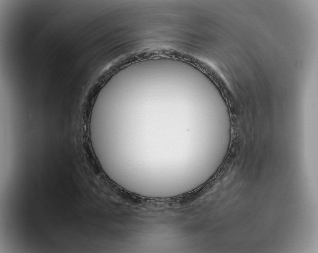 X0000092280871200709140920