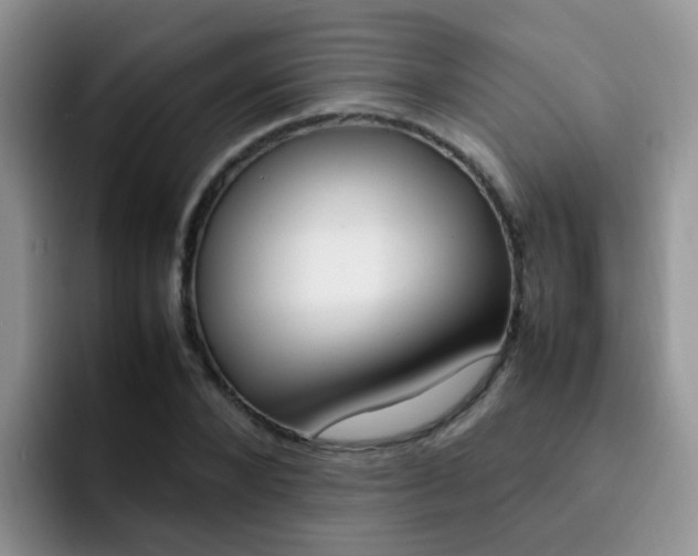 X0000092280880200709140920
