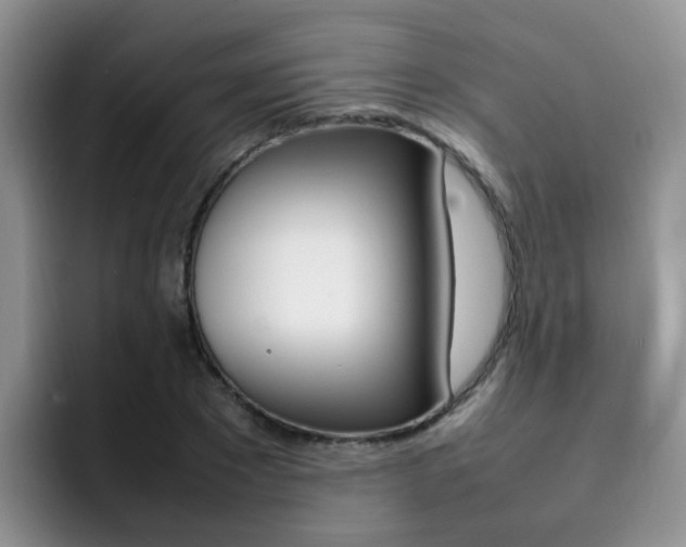 X0000092280881200709140920