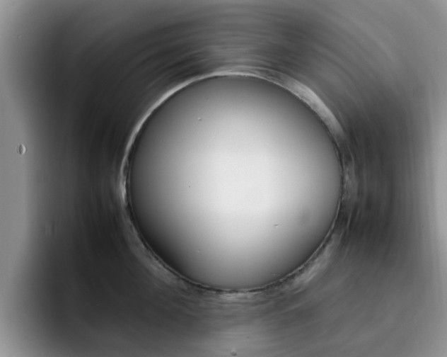 X0000092280908200709140920