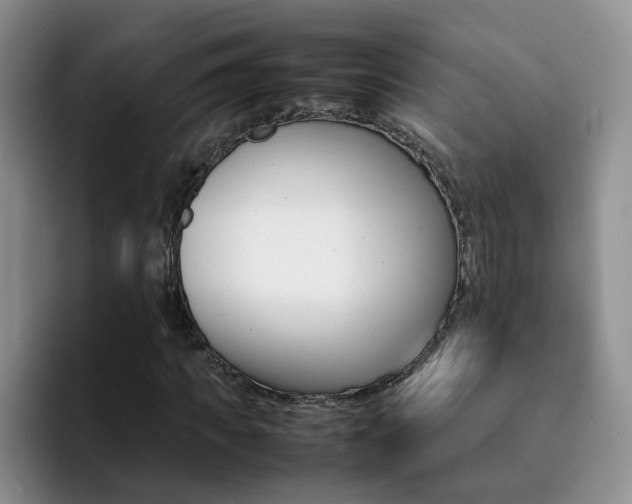 X0000092280917200709140919
