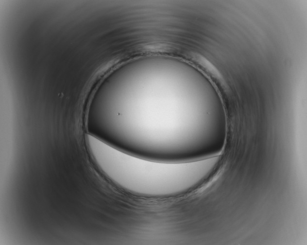 X0000092280930200709140920