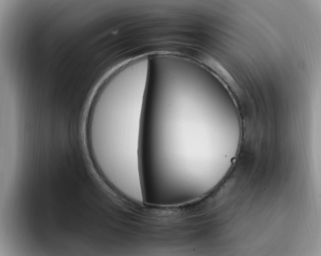 X0000092280939200709140920