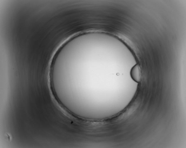 X0000092280941200709140920