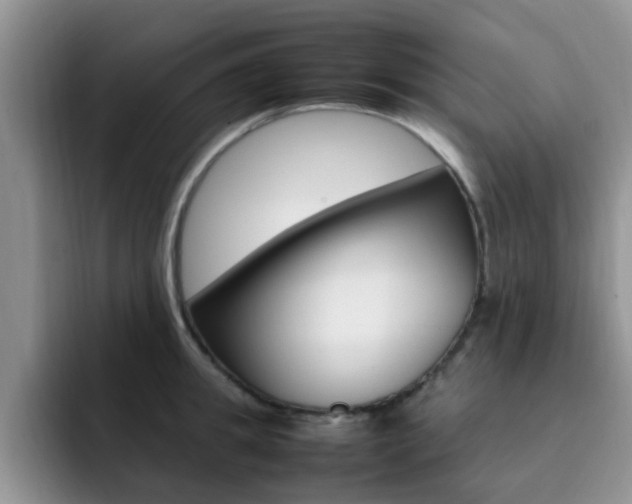X0000092280949200709140920