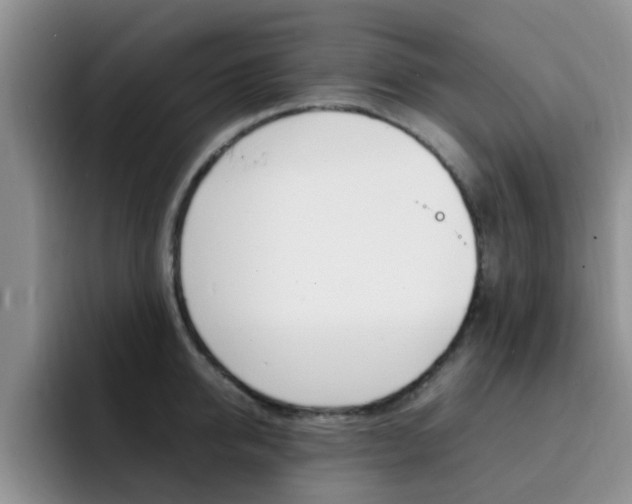 X0000092280950200709140920