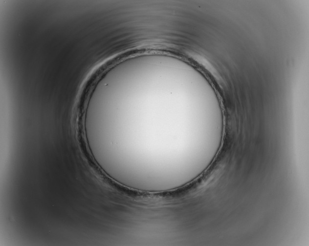 X0000092280971200709140919