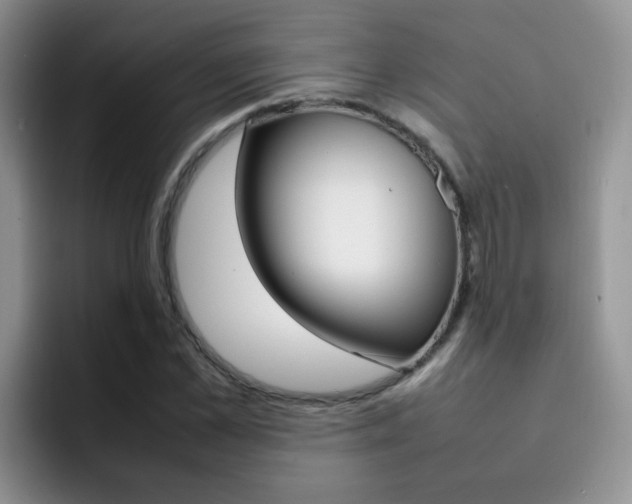 X0000092280973200709140919