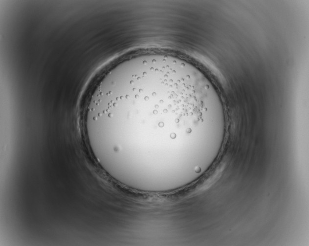 X0000092280974200709140919