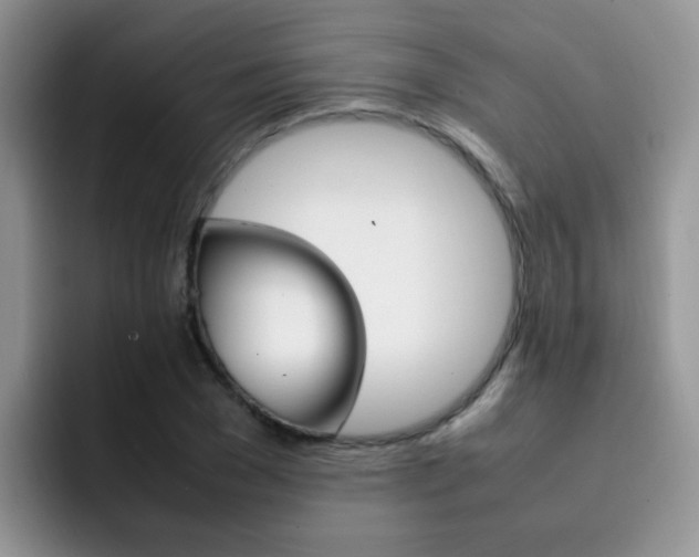 X0000092280977200709140919