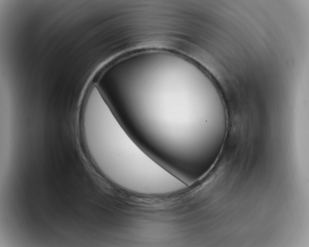 X0000092280980200709140919
