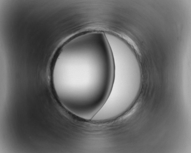 X0000092280981200709140919