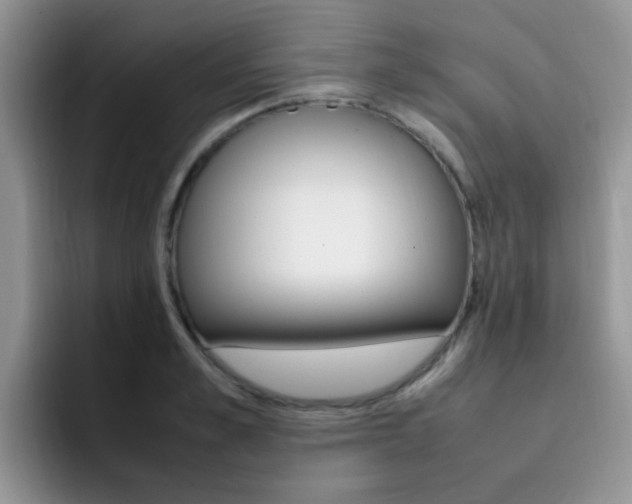 X0000092280989200709140919