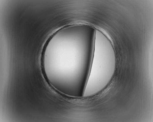 X0000092280995200709140919