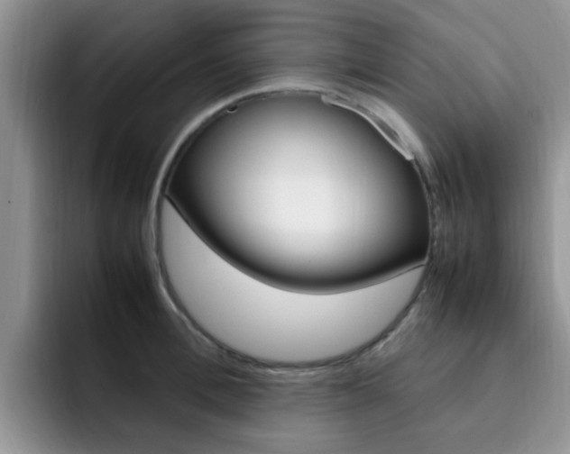 X0000092280996200709140919