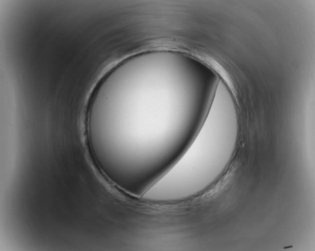 X0000092280997200709140919