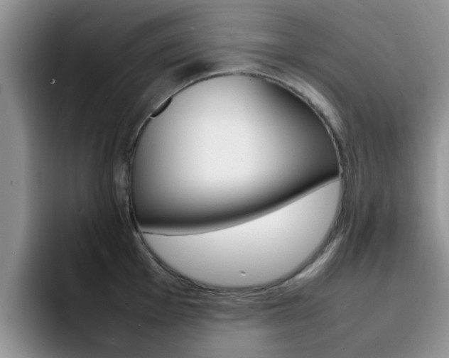 X0000092281001200709140919