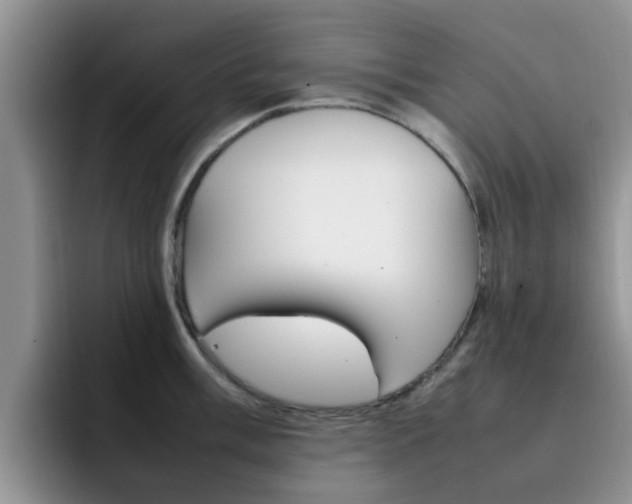 X0000092281003200709140919