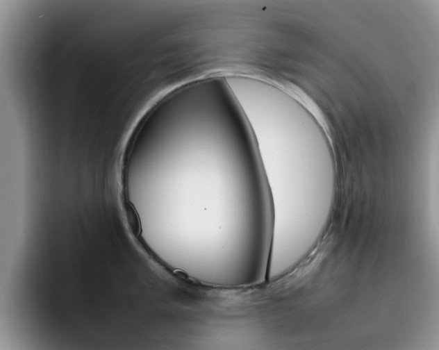 X0000092281005200709140919