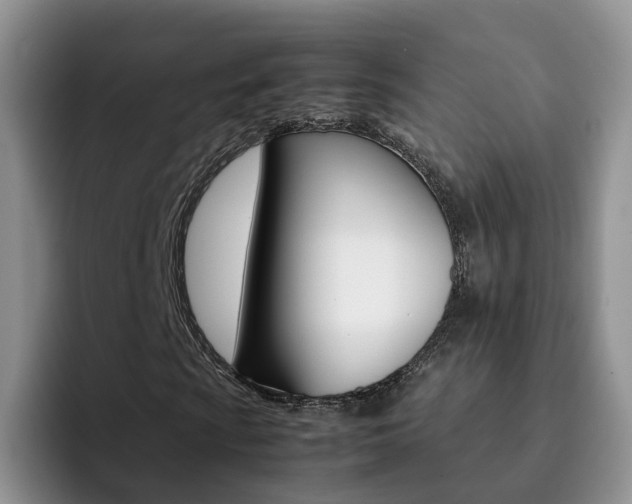 X0000092281009200709140918