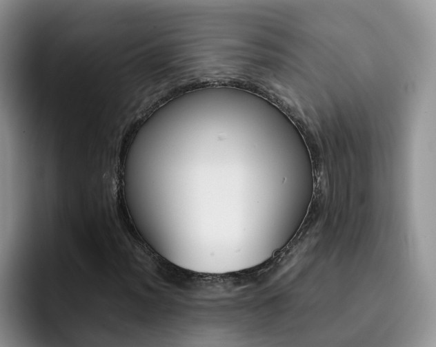 X0000092281012200709140918