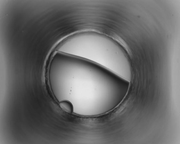 X0000092281020200709140918