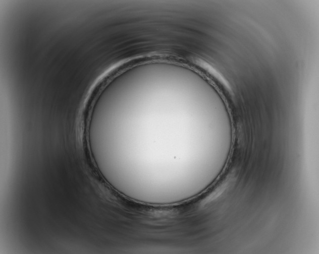 X0000092281021200709140918