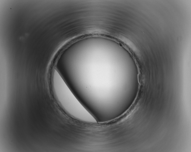 X0000092281022200709140918