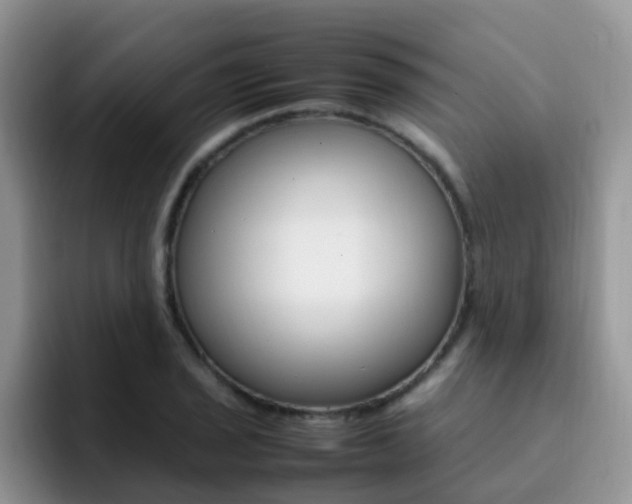 X0000092281029200709140919