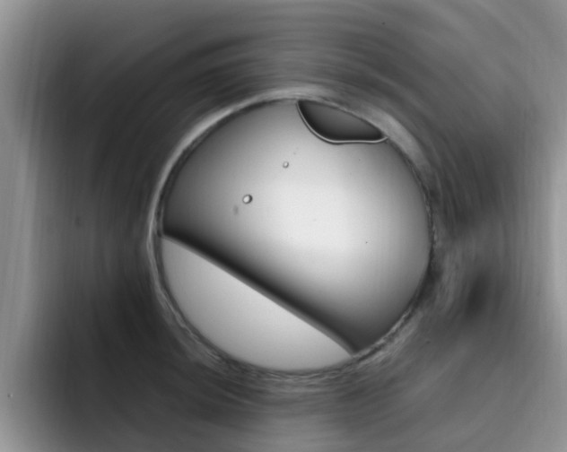 X0000092281044200709140919