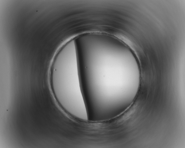 X0000092281045200709140919