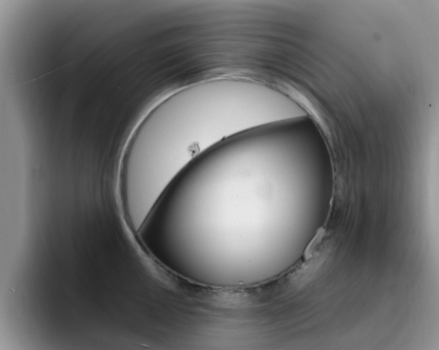 X0000092281050200709140919