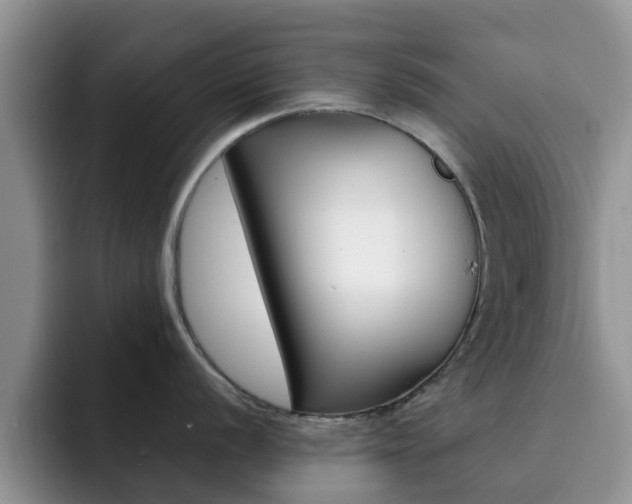 X0000092281056200709140919