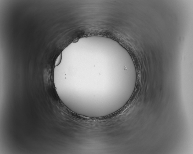 X0000092281059200709140918