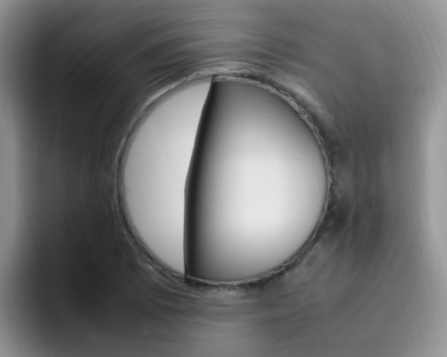 X0000092281073200709140918