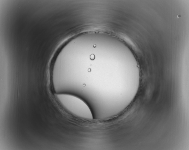 X0000092281079200709140918