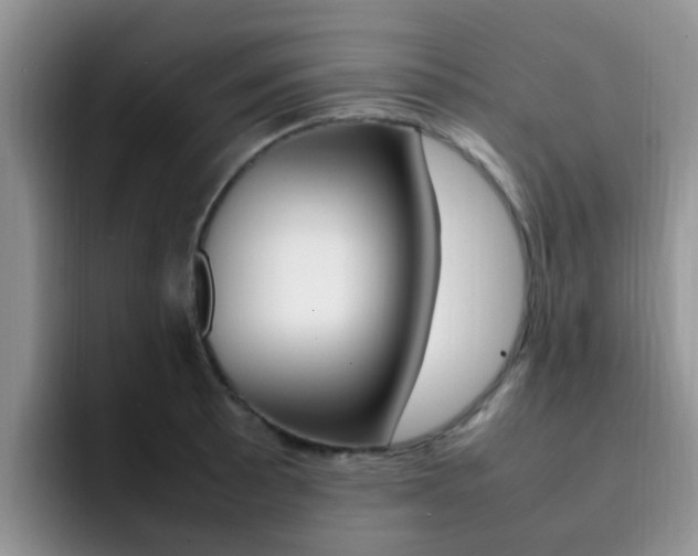 X0000092281089200709140918