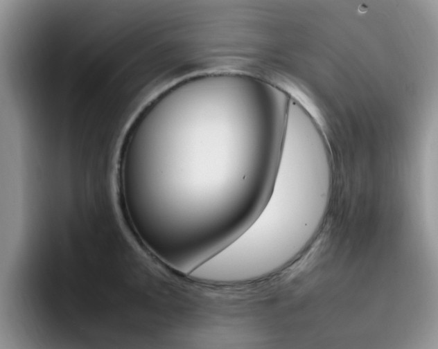 X0000092281093200709140918