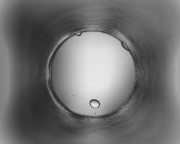 X0000092281095200709140918