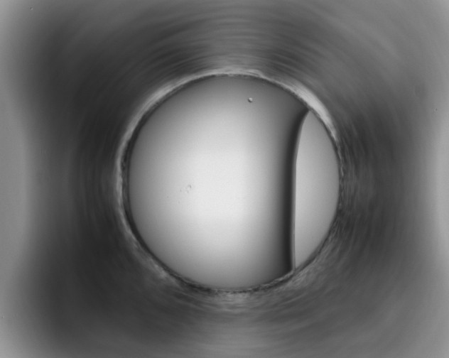 X0000092281096200709140918