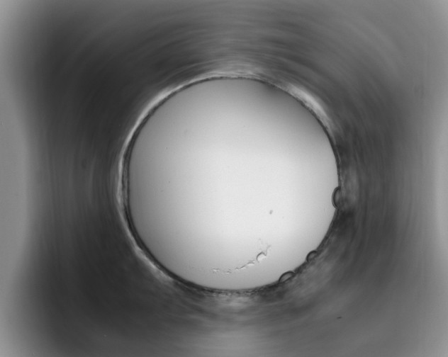 X0000092281103200709140918