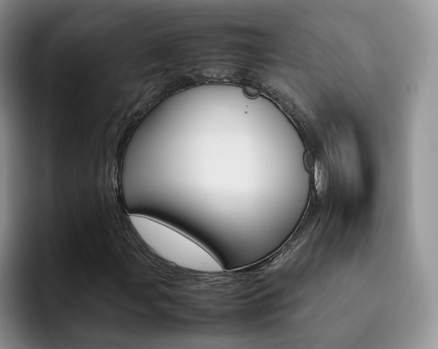 X0000092281107200709140917