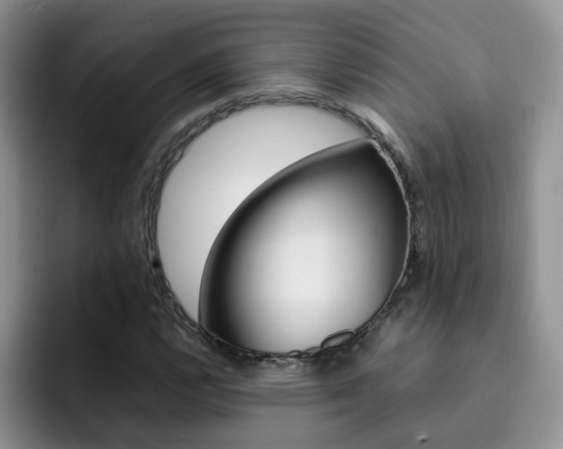 X0000092281112200709140917