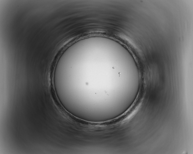X0000092281113200709140917