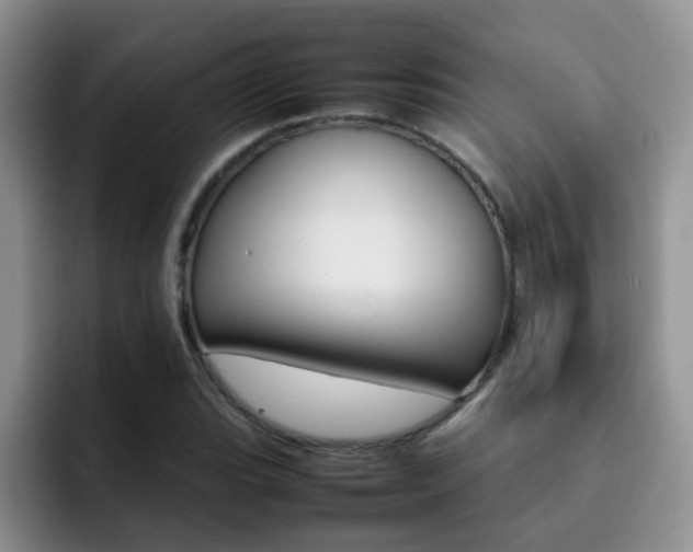 X0000092281119200709140917