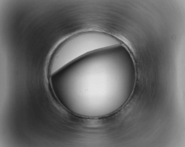 X0000092281120200709140917