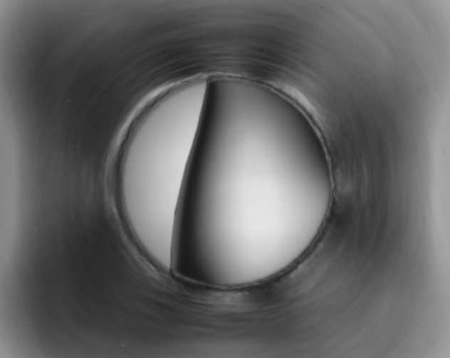 X0000092281123200709140917