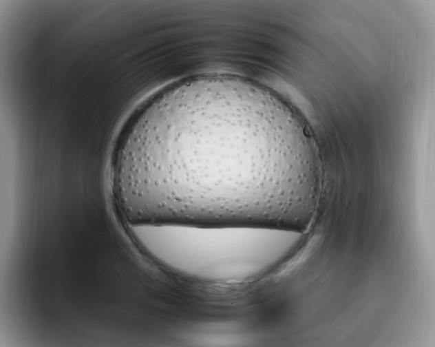 X0000092281125200709140917